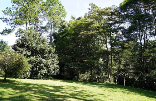 Maleny House | McCarthy Grove.