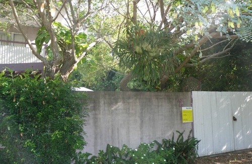 Point Lookout House | Pets allowed at this three bedroom beachhouse only minutes walk to beaches.