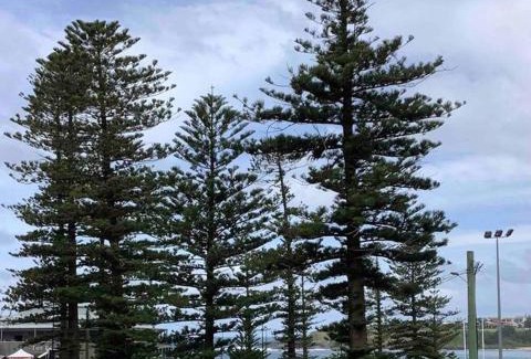 Kiama Apartment | Seabreeze Luxury Apartment Kiama