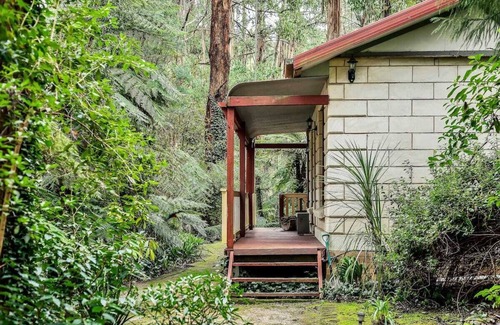 Mount Dandenong Cabin | Spa Cottage: Private rainforest with river
