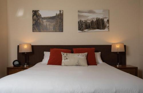 Thredbo Ski Chalet | Squatters Run 12a