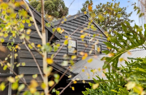 Ocean Grove House | Tawny frog mouth in the trees