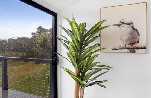 Wentworth Falls House | The Wentworth Backing Blue Mountains National Park
