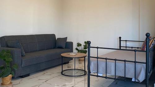 Krieza Apartment | Βίλα Αντί Ονείρου-Διαμέρισμα Αμαλία