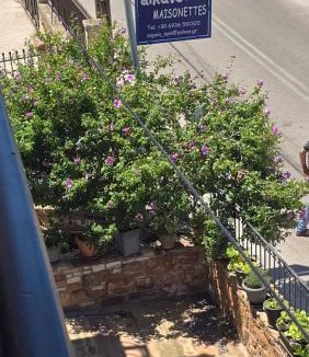 Chios Apartment | Μεζονέτα AIKATERINI N 3