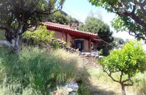 Andros Town House | Παραδοσιακό σπίτι με πανοραμική θέα