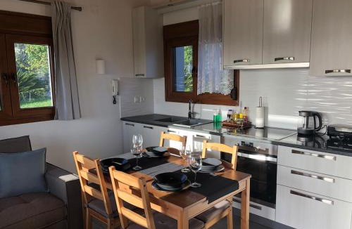 Alli Meria Ski Chalet | Παραδοσιακό σπίτι με τζάκι