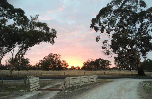 Tatiara Bed & Breakfast | 12 m² Bed and breakfast ∙ 3 guests