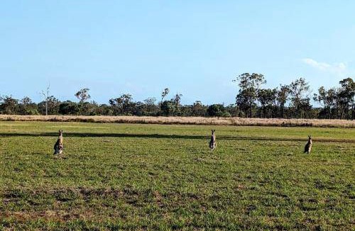 Burrum River House | 14 m² House ∙ 1 bedroom ∙ 2 guests