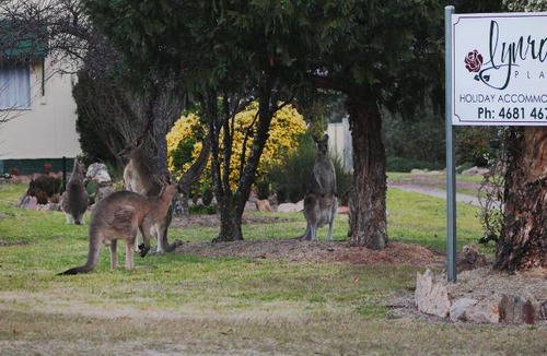 Stanthorpe House | 149 m² House ∙ 3 bedrooms ∙ 6 guests