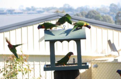 Louth Park Bed & Breakfast | 15 m² Bed and breakfast ∙ 3 guests