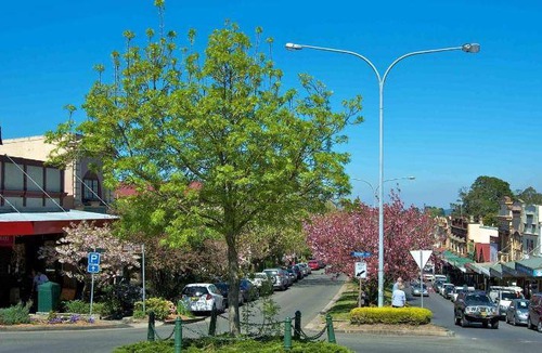 Blackheath House | 180 m² House ∙ 4 bedrooms ∙ 10 guests