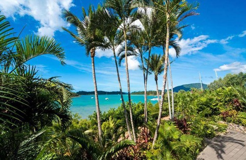 Shute Harbour Apartment | 30 m² Apartment ∙ 1 bedroom ∙ 2 guests