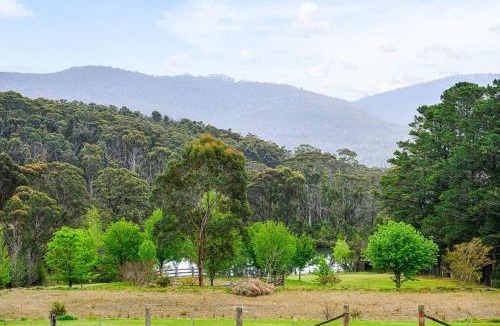 Bilpin Villa | 3B3B w Farm View w Outdoor Dining,Shared Game Room