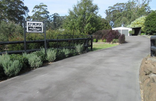 Long Beach Apartment | 4 minutes to Long Beach. Cozy couple's studio on small private acreage