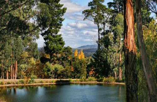 Mount Macedon House | 43 m² House ∙ 1 bedroom ∙ 2 guests