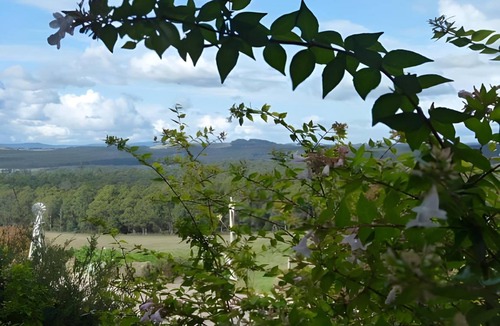 Latrobe Bed & Breakfast | 85 m² Bed and breakfast ∙ 4 guests