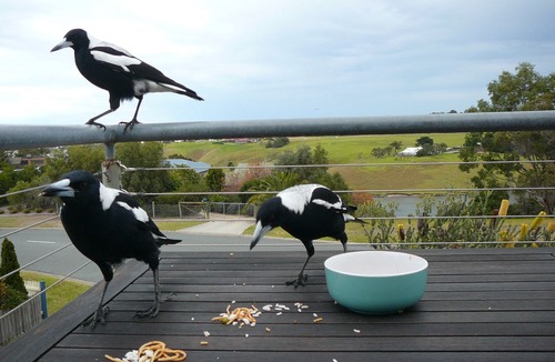 Lakes Entrance House | A two- story house with sweeping views of Bass Strait and the North Arm.