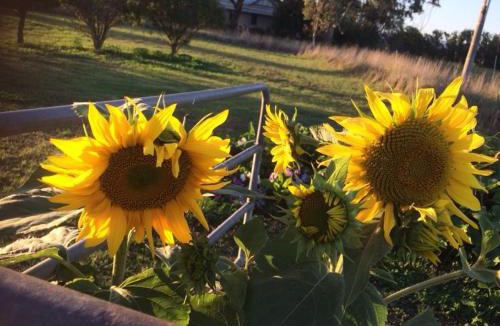 Heyfield House | Abington Farm B & B
