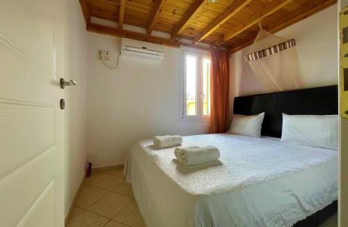 Andros Town Apartment | Afroessa apartments