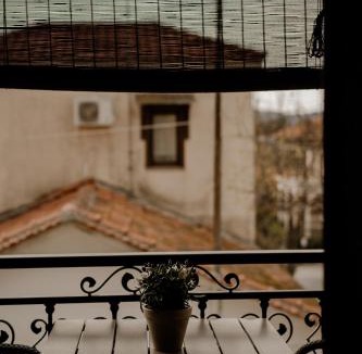 Aristotelis House | AIORA yard