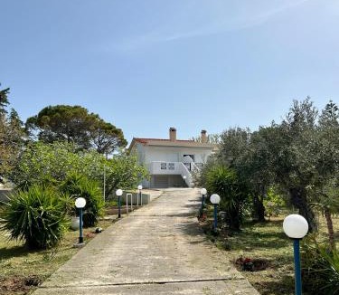 Platistomo Apartment | Alepochori Seaside Village