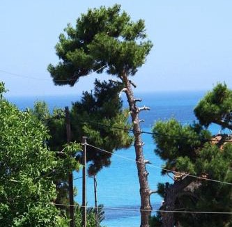 Skala Apartment | Alexander Apartments