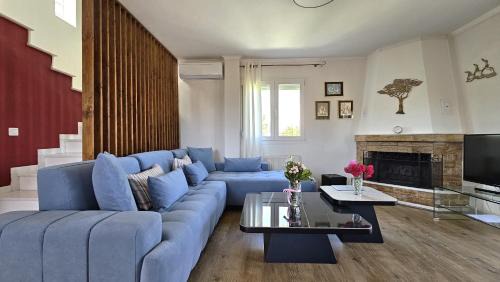 Paliouri Villa | Alivia Garden