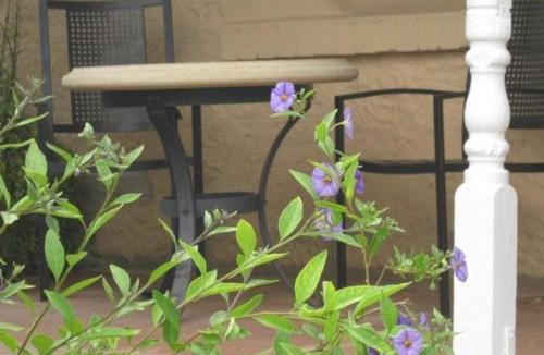 Waikerie House | Amalie Cottage Waikerie Unit 1