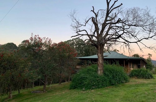 Bandon Grove House | Amble Lea amongst the trees