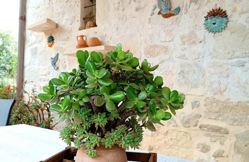 Margarites House | Amelia's home