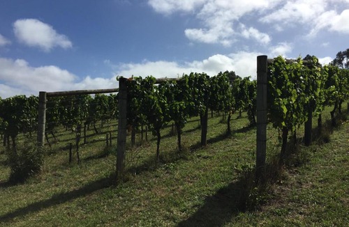 Arthurs Seat Bed & Breakfast | Anderida