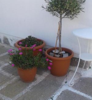 Mykonos Town House | Angela's Rooms