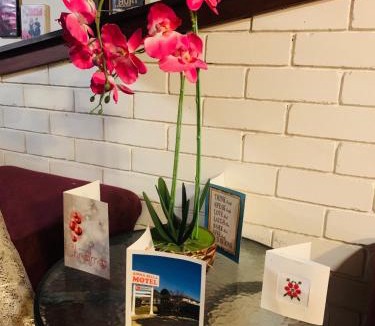 Glen Innes Hotel | Anna Bella Motel Glen Innes