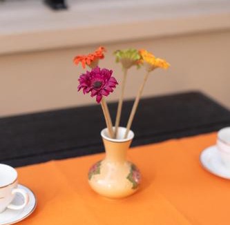 Mytilene Villa | Annas Cozy Stone House