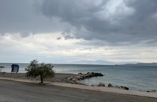 Kato Assos House | Asaminthos