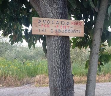 Grizokambos House | Avocado house