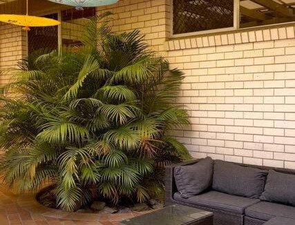 Robertson Villa | Bali Style Designer's House in Central location