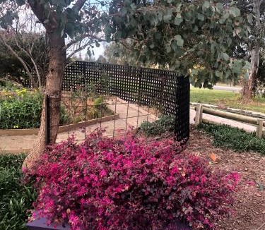 Rutherglen Bed & Breakfast | Barklysuites Apartments