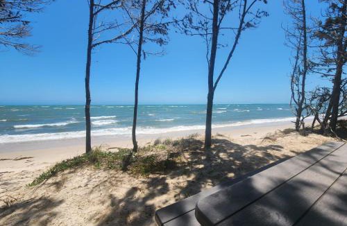Toogoom House | Beach Shed with Pizza Oven