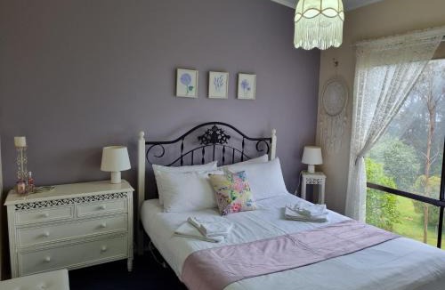 Beech Forest House | Beech Forest Cottage (Cozy Otways Accommodation)