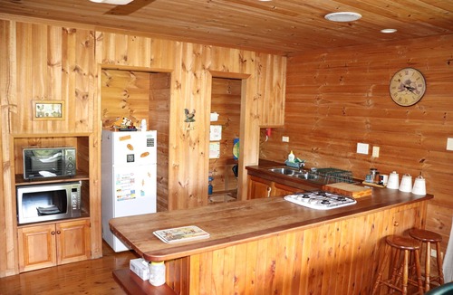 Bellthorpe Cottage | Bellthorpe Stays - Cottage: waterfalls, rainforest, wildlife and walking tracks.
