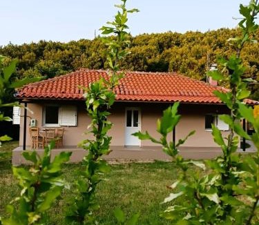 Vlachava House | Billy's house