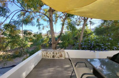 Apollonia House | Black Fig