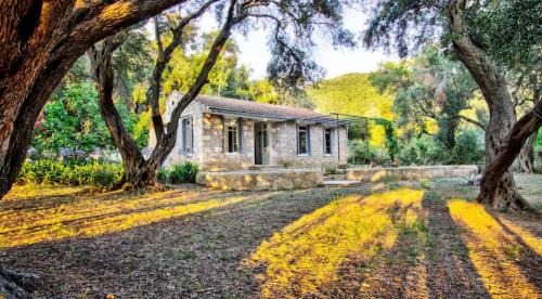 Skala House | Black Olive Cottage Paramonas