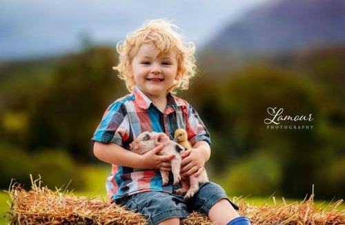 Beerwah House | Blackwattle Farm