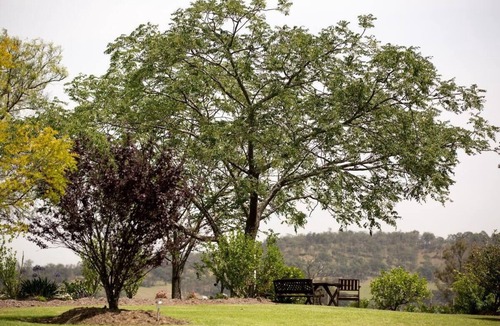 Lovedale Ski Chalet | Bluebush Estate - The Chalet - Stunning Country Views - Sleeps 10