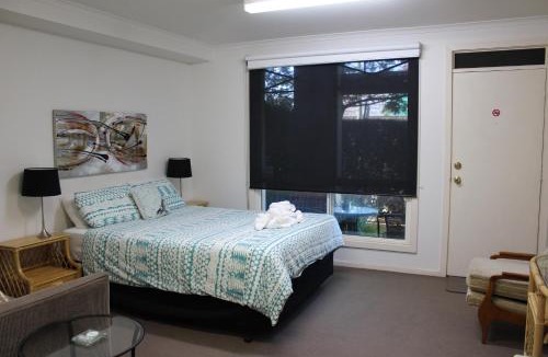 Box Hill South Apartment | Box Hill Studio Apartment 2