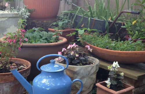 Millthorpe Apartment | Braeside Studio - Country Garden Accommodation