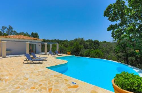 Petaleia Villa | Brand New Villa Loki with Large infinity pool WiFi and Sea Views